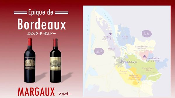 Epique de Bordeaux「エピック・ド・ボルドー」