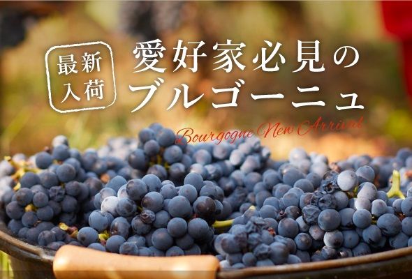 新着ブルゴーニュコレクション