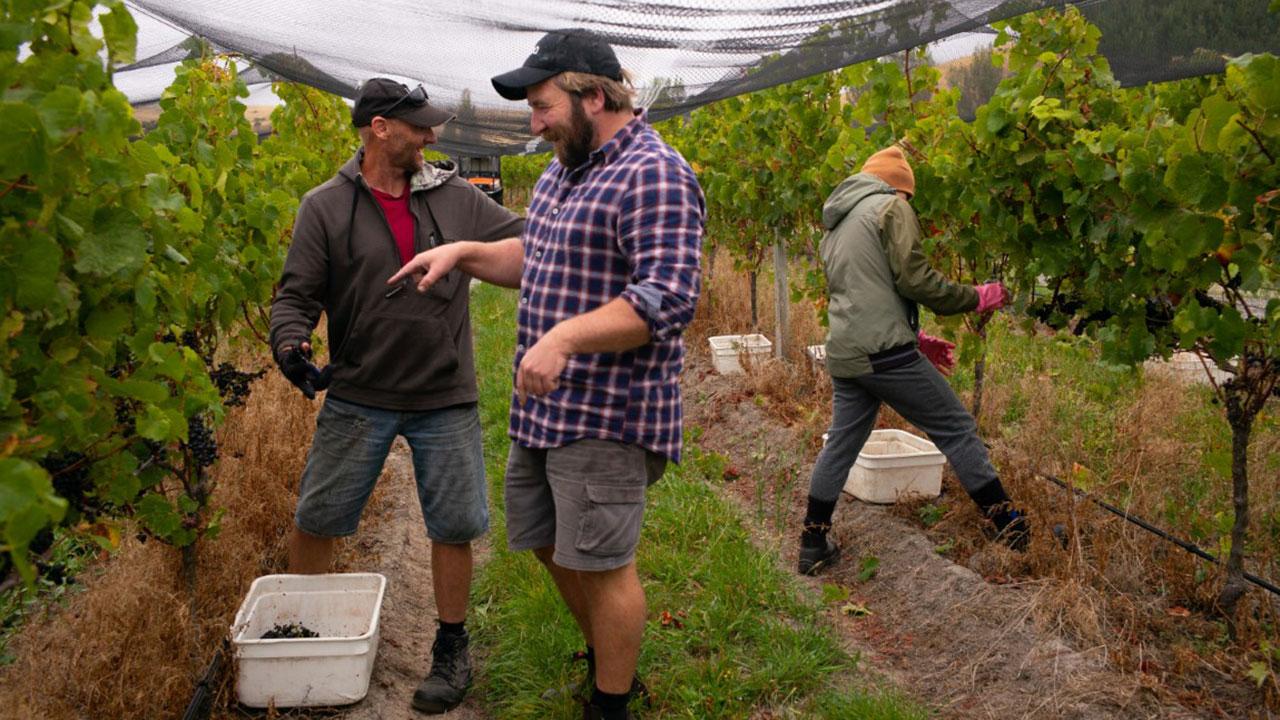 収穫をしているジョエルさん