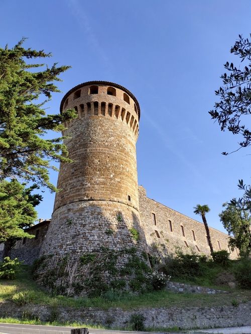 ブログメイン画像