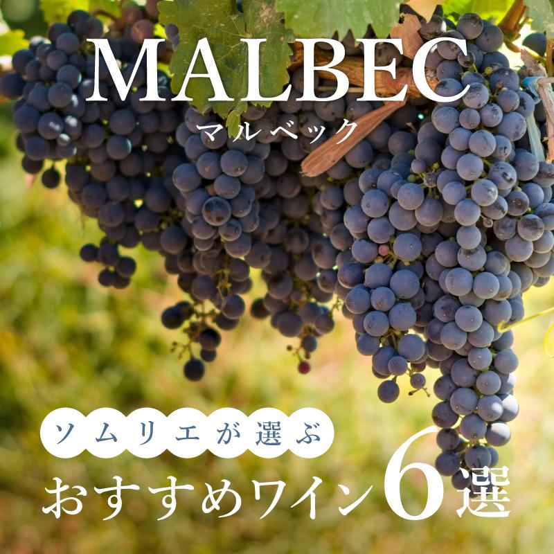 【2025年】おすすめマルベック6選【ソムリエ厳選】