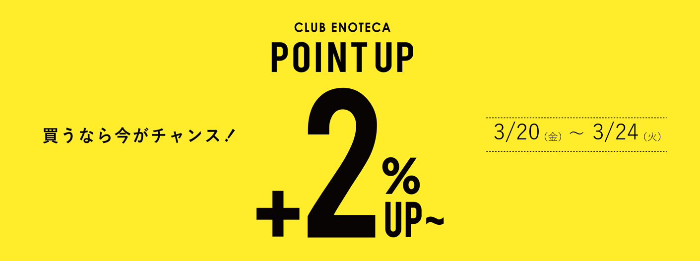 ブログメイン画像