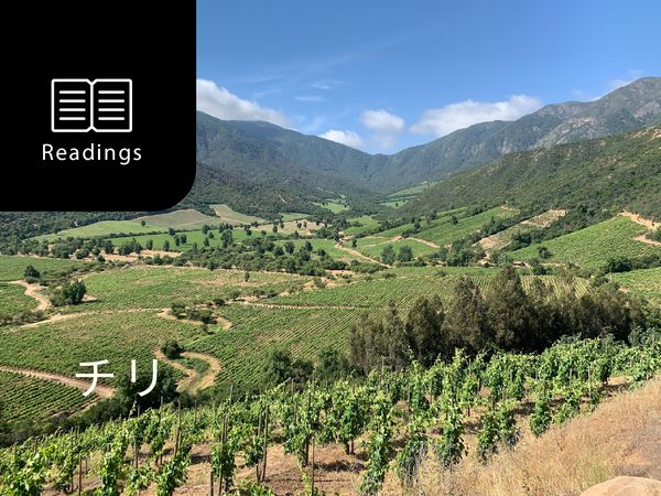 ワイン産地を知ろう！チリ