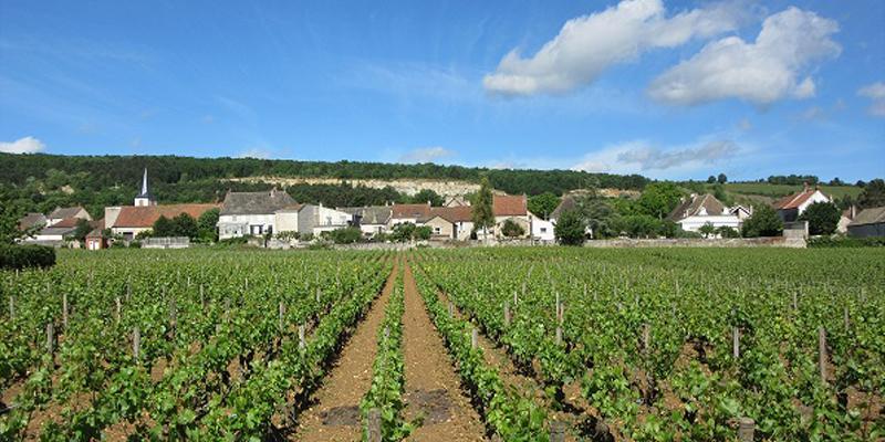 ドメーヌ・ベルナール・モロー・エ・フィス DOMAINE BERNARD MOREAU ET FILS | エノテカ - ワイン通販