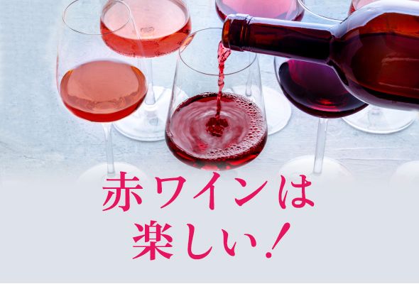 4タイプから好きを見つけよう！味わい色々。赤ワインは楽しい！