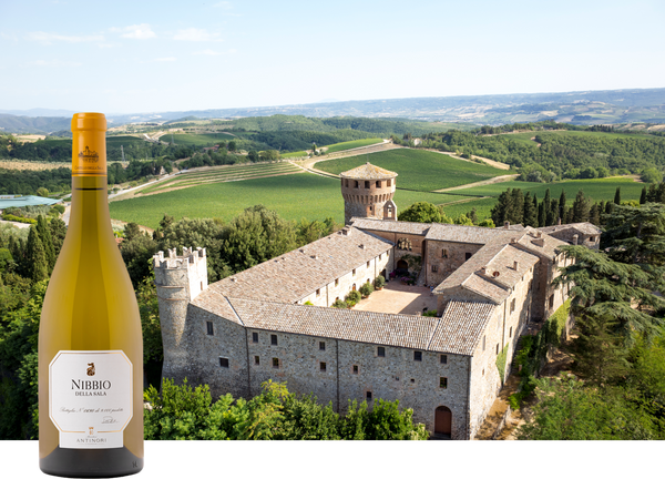 イタリアワインの頂点を目指すアンティノリの最上級キュヴェ「ニッビオ・デッラ・サラ」