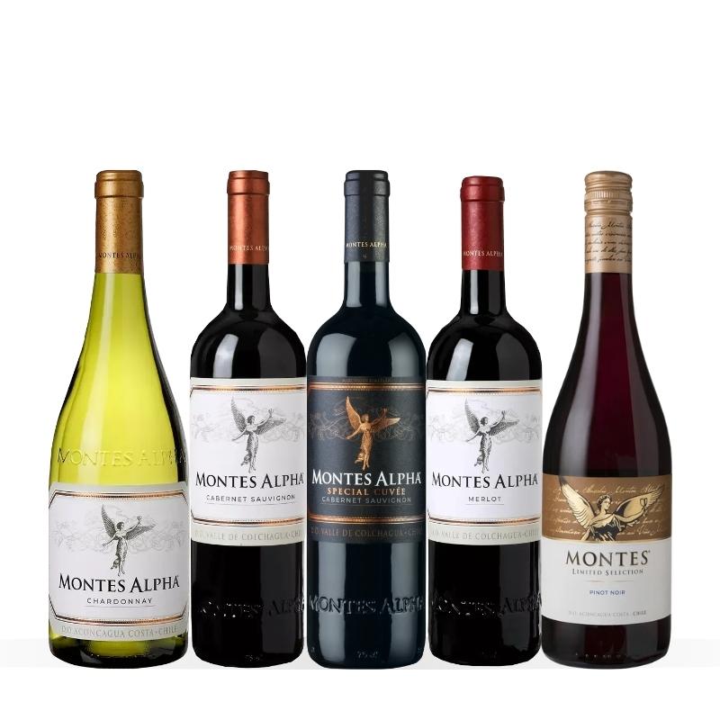 プレミアム・チリワインの先駆者！モンテス・ベストセレクト5本セット MM6-3 [750ml x 5]