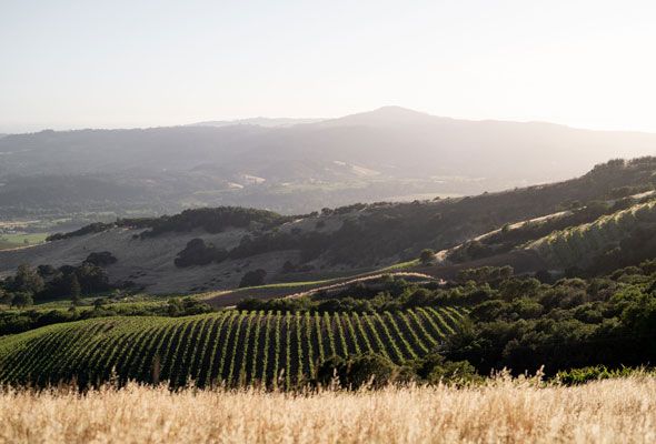 キスラー・ヴィンヤーズ / KISTLER VINEYARDS