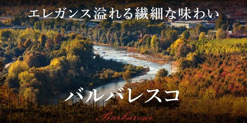 ブログメイン画像