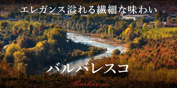 【渋谷ヒカリエ店】バローロと双璧をなすピエモンテの銘酒 バルバレスコを識る
