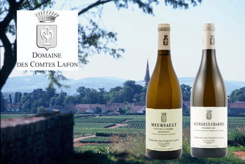 ブログメイン画像