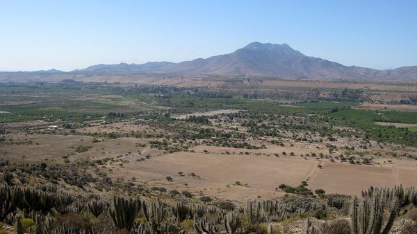 チリのシャルドネ栽培の最適地は