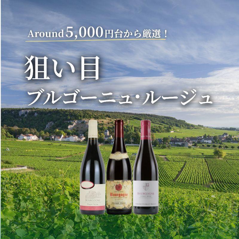 Around 5,000円台から厳選！狙い目ブルゴーニュ・ルージュ