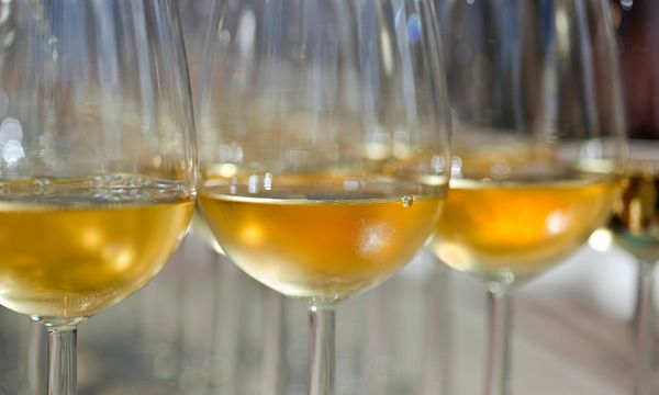 評価誌100点！　貴腐ワインの代名詞　 2009年シャトー・ディケム