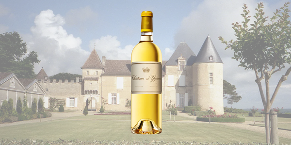 1月3日(土）～お正月　特別ワイン