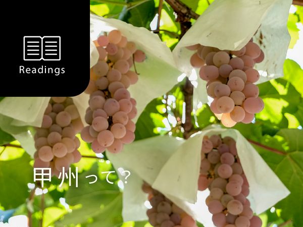 【ブドウ品種を知ろう】甲州とは？