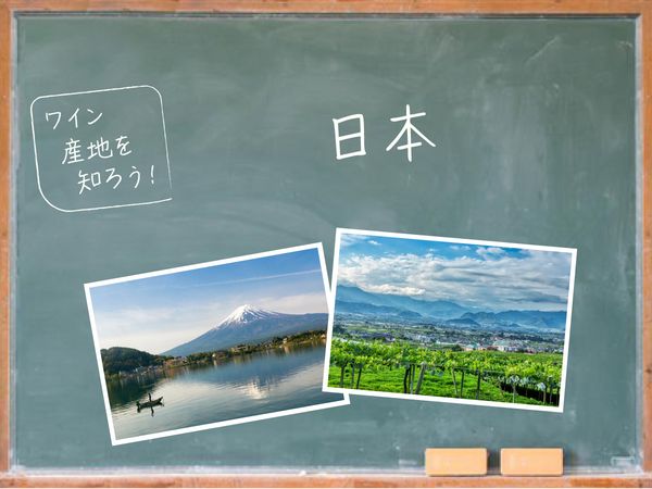 日本ワインを知ろう！