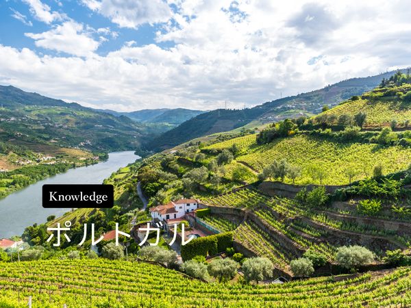 ワイン産地を知ろう！ポルトガルワインの特徴