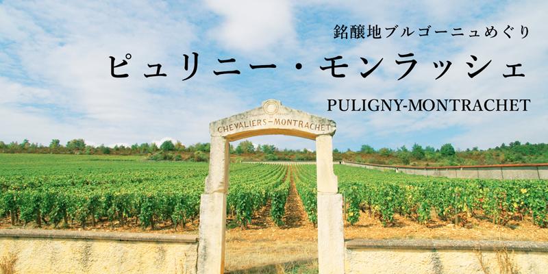 ピュリニー・モンラッシェ - 銘醸地ブルゴーニュめぐり | エノテカ