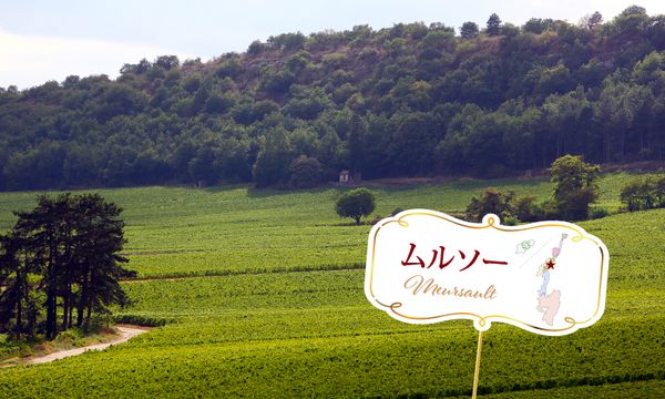 メインブログ画像