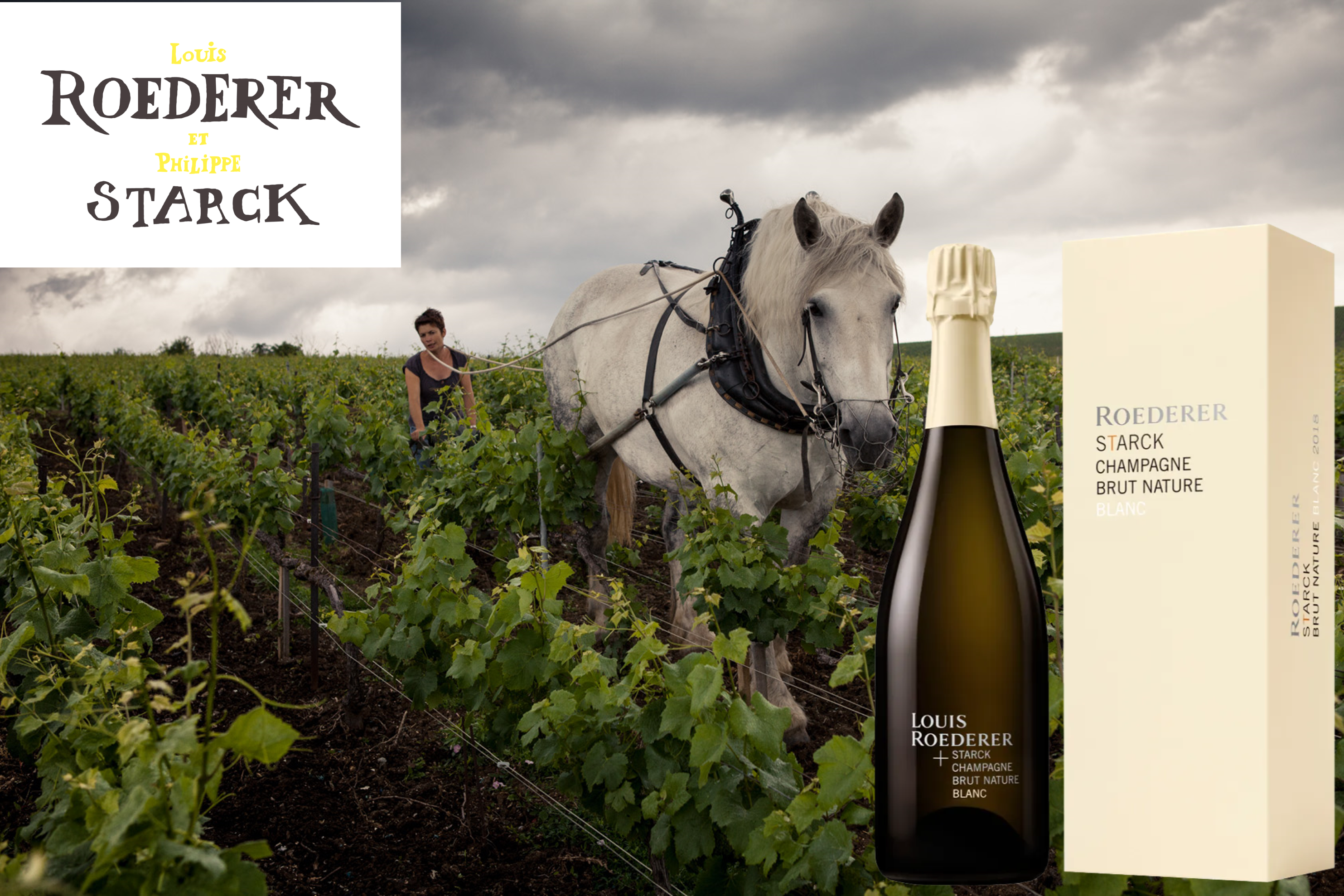 ブログメイン画像