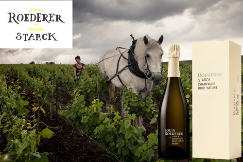 ブログメイン画像