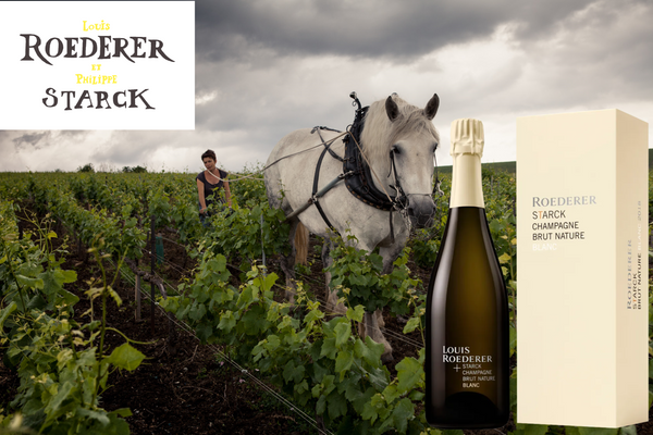 メインブログ画像