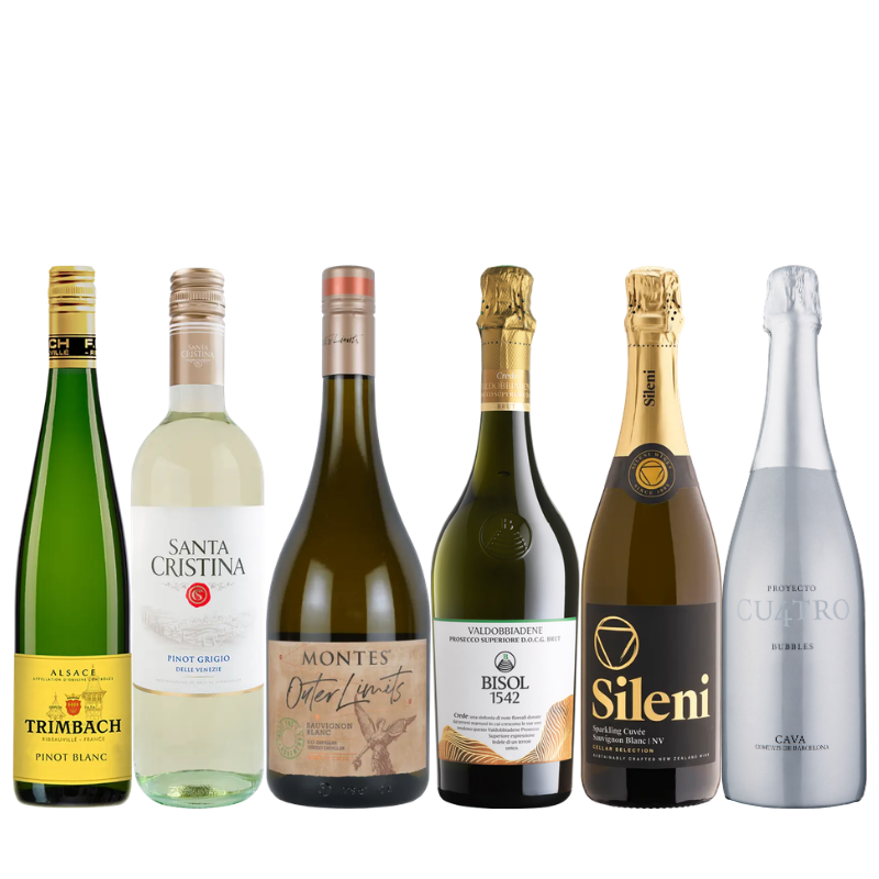 キリッと辛口！キレ旨ワイン6本セット NS6-1 [750ml x 6] | エノテカ