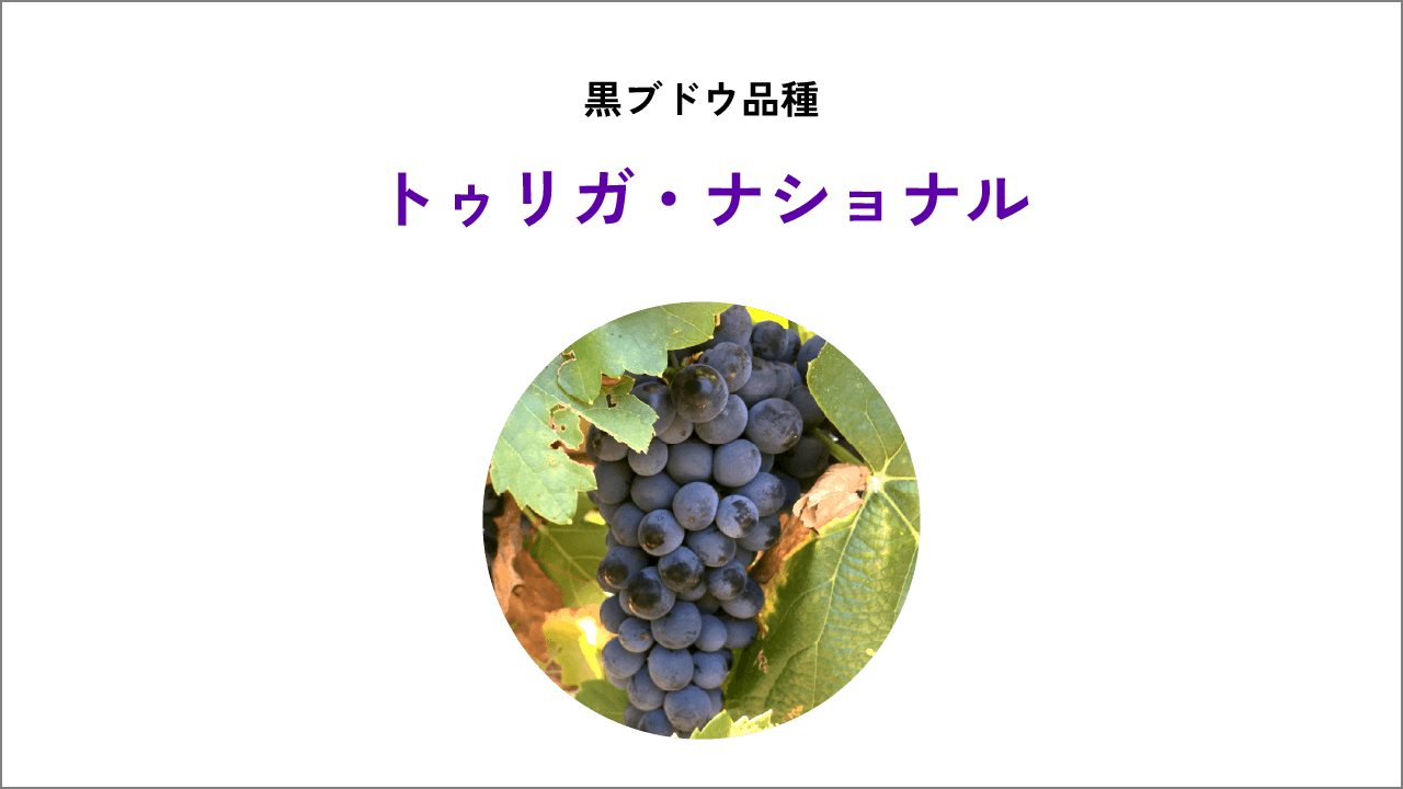トゥリガ・ナショナル