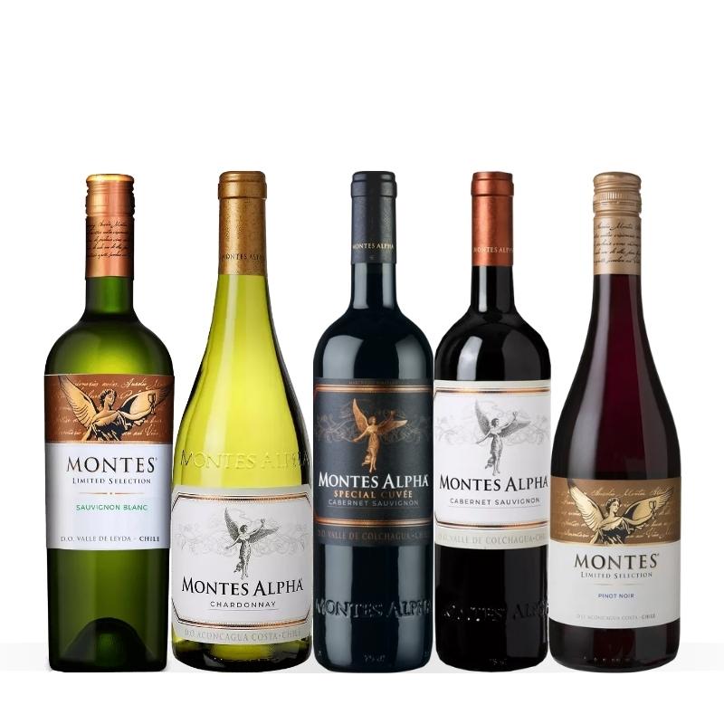 プレミアム・チリワインの先駆者！モンテス・ベストセレクト5本セット MM6-1 [750ml x 5]