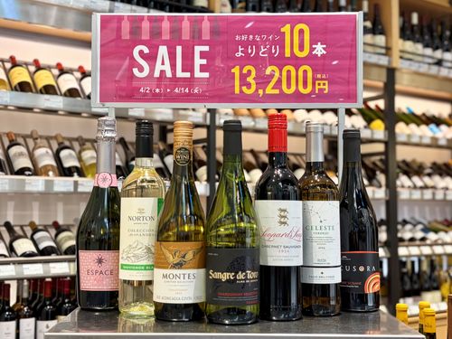 ブログメイン画像