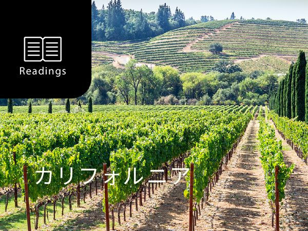 【ワイン産地を知ろう】カリフォルニアワインの特徴