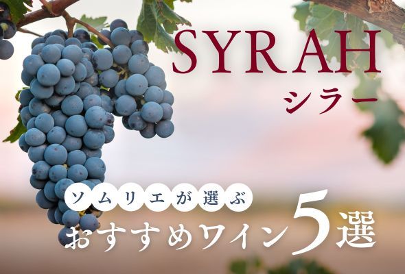 【2025年】おすすめシラー5選【ソムリエ厳選】