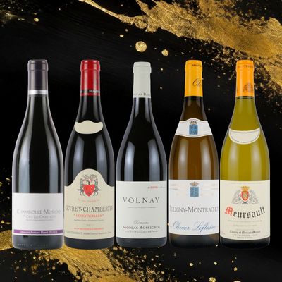 ブルゴーニュの銘醸地を巡る！村名飲み比べ赤白5本セット GV1-2 [750ml x 5]