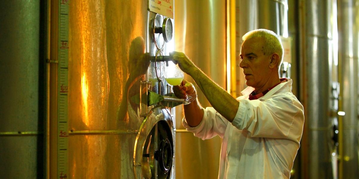 カンティーナ・トレゼンタ / CANTINA TREXENTA