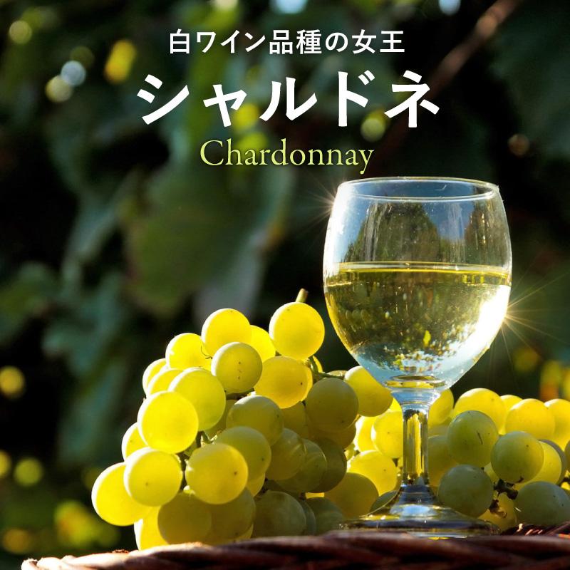 シャルドネ - 世界の銘醸地のおすすめ銘柄！
