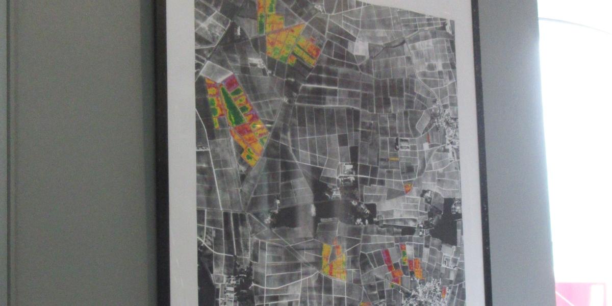 2010年7月に撮影されたブドウ畑の航空写真