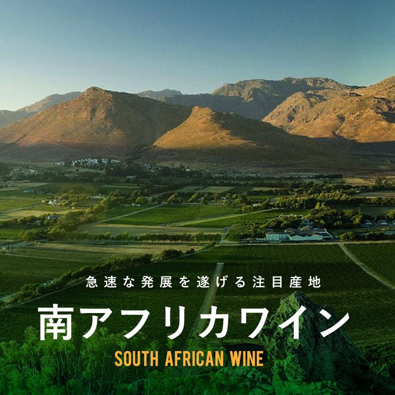 南アフリカワイン 急速な発展を遂げる注目産地 エノテカ ワイン通販