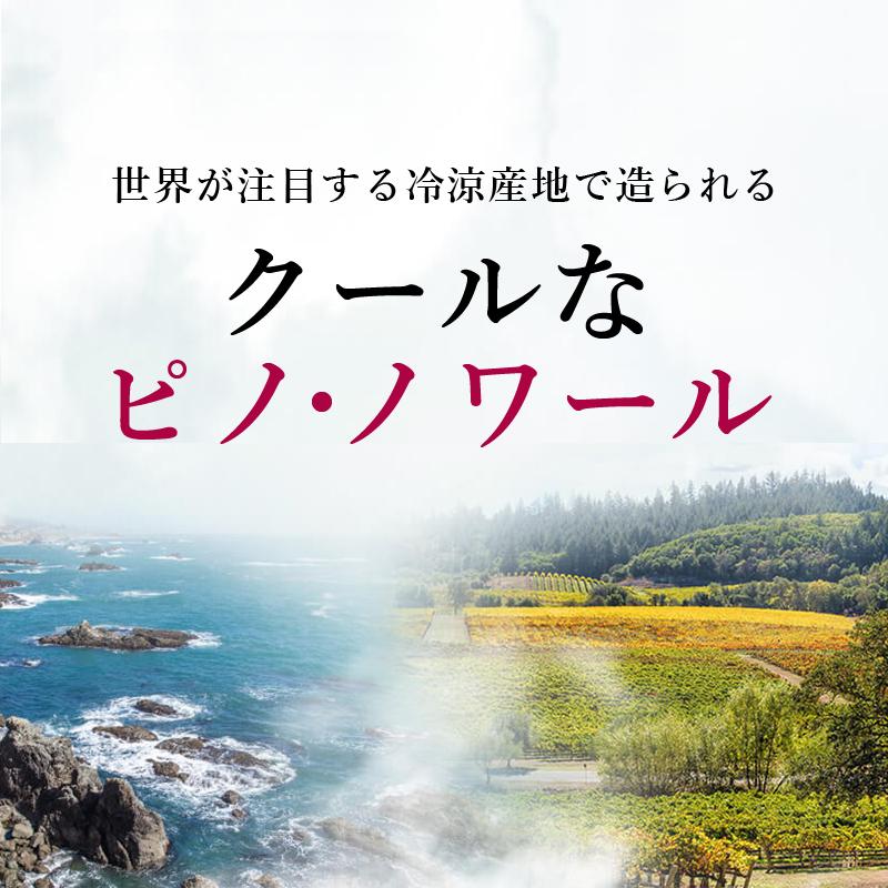 世界が注目する冷涼産地で造られる「クールなピノ・ノワール」