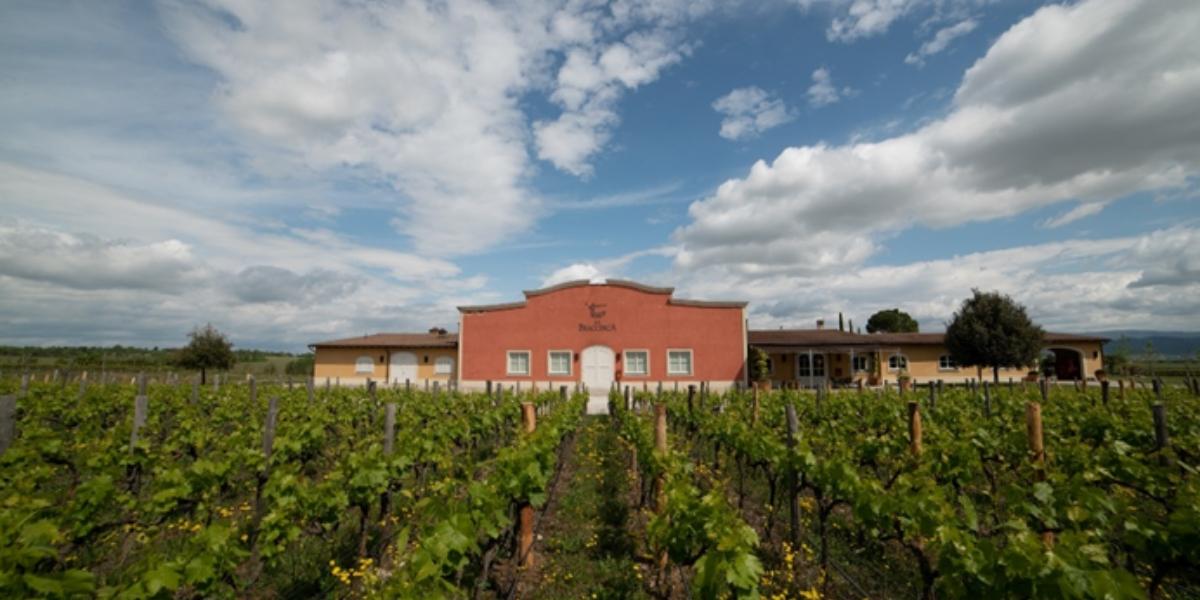 ラ・ブラチェスカ (アンティノリ) / LA BRACCESCA (ANTINORI)