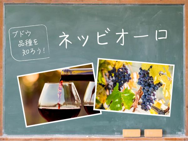 【ブドウ品種を知ろう】ネッビオーロとは？