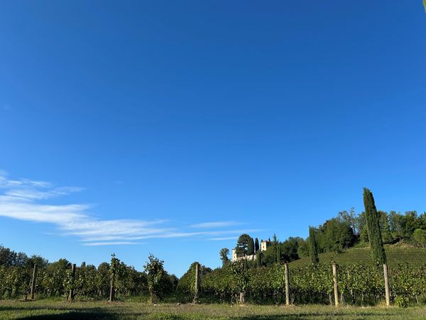 【フェス】世界を旅するワインフェス ～イタリア編～