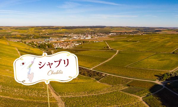 土日スタンディングセミナー：第6弾 シャブリ編