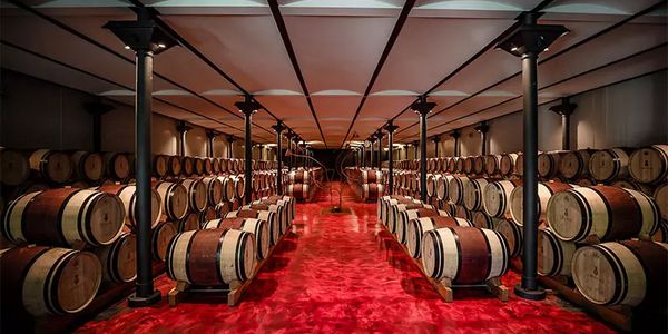 オルネライアの片鱗を堪能する、紅白2種テイスティング