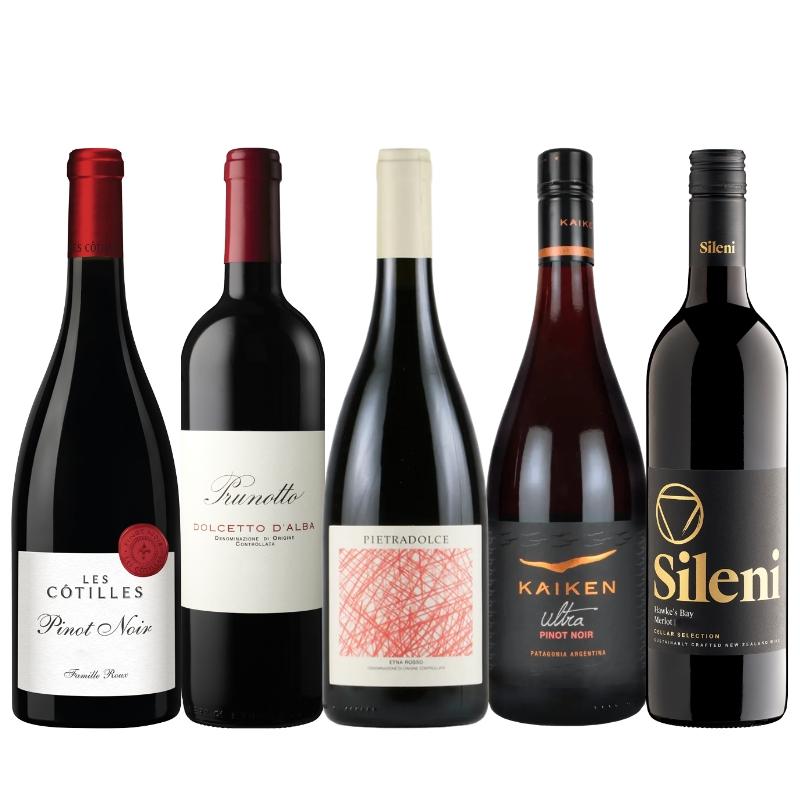 フレッシュな味わいが魅力！軽やか赤ワイン5本セット VR11-2 [750ml x 5]