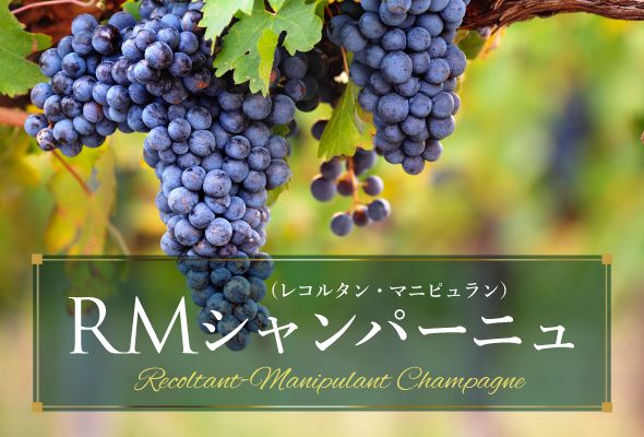 愛好家がこぞって探し求めるレコルタン・マニピュラン