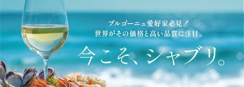 ブログメイン画像