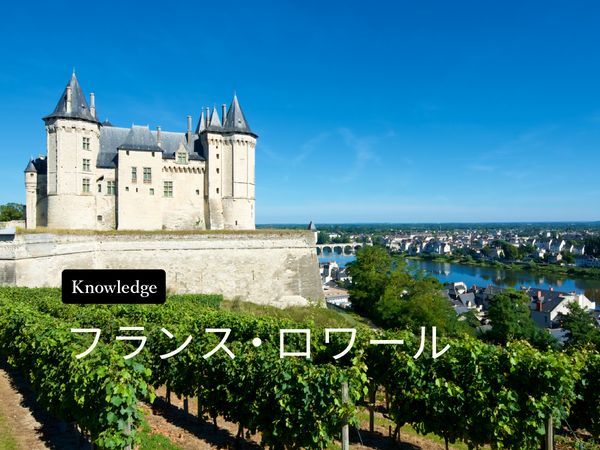 ワイン産地を知ろう！ロワール