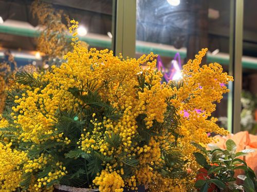 ブログメイン画像