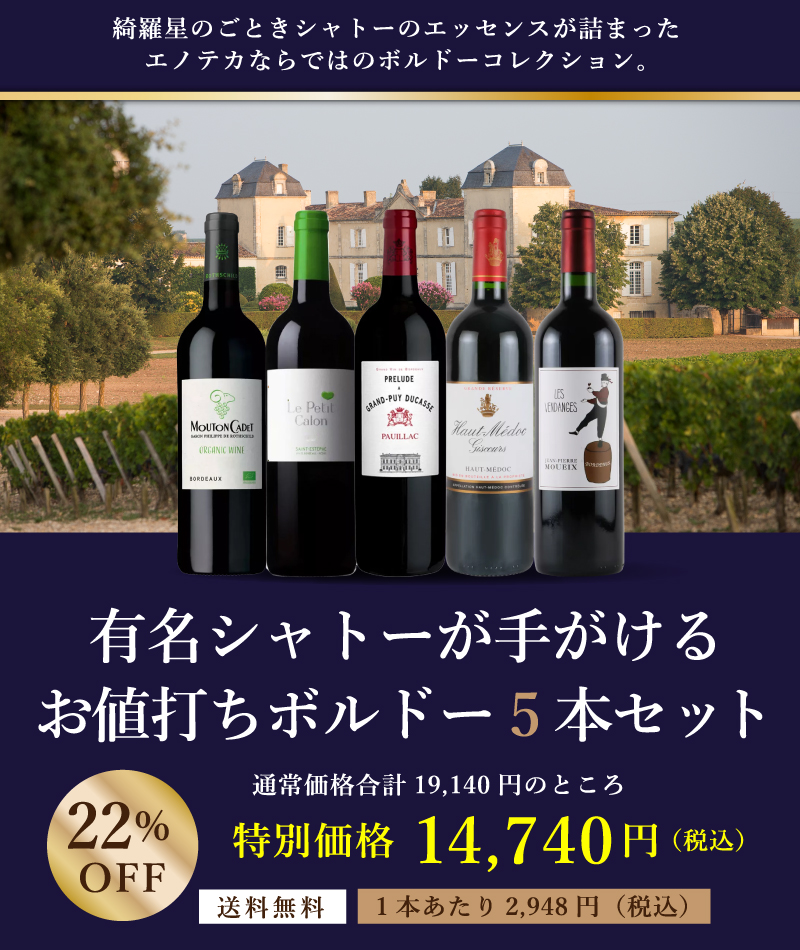 有名シャトーが手がけるお値打ちボルドー5本セット FB12-1 [750ml x 5